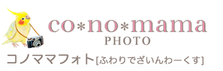ふわりでざいんわーくす　[コノママフォトサービス]
