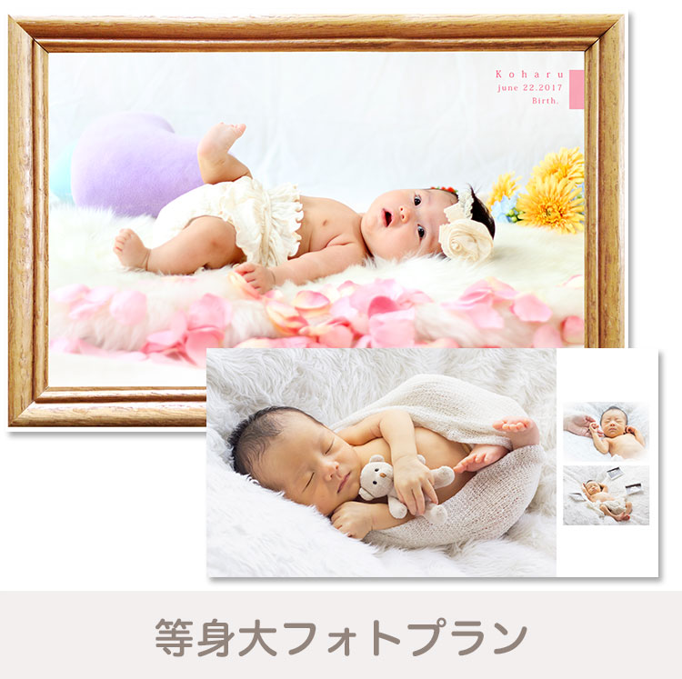 等身大フォトプラン